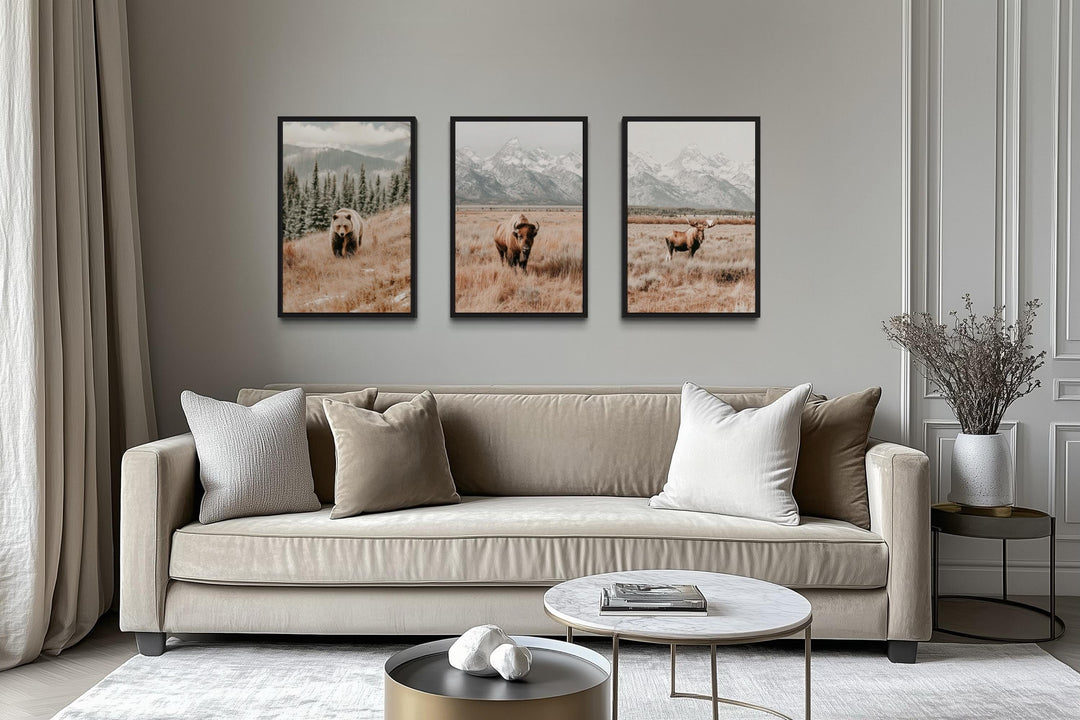 Grand Teton Wildlife Wall Art Set of 3 – Neutral Color Bear, Moose, and Bison Photography Style Prints