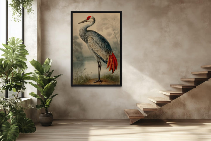 Sandhill Crane Vintage Framed Canvas Wall Art