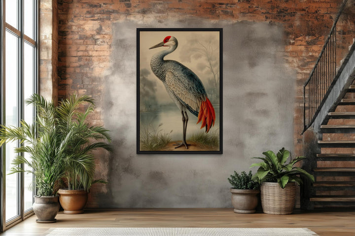 Sandhill Crane Vintage Framed Canvas Wall Art