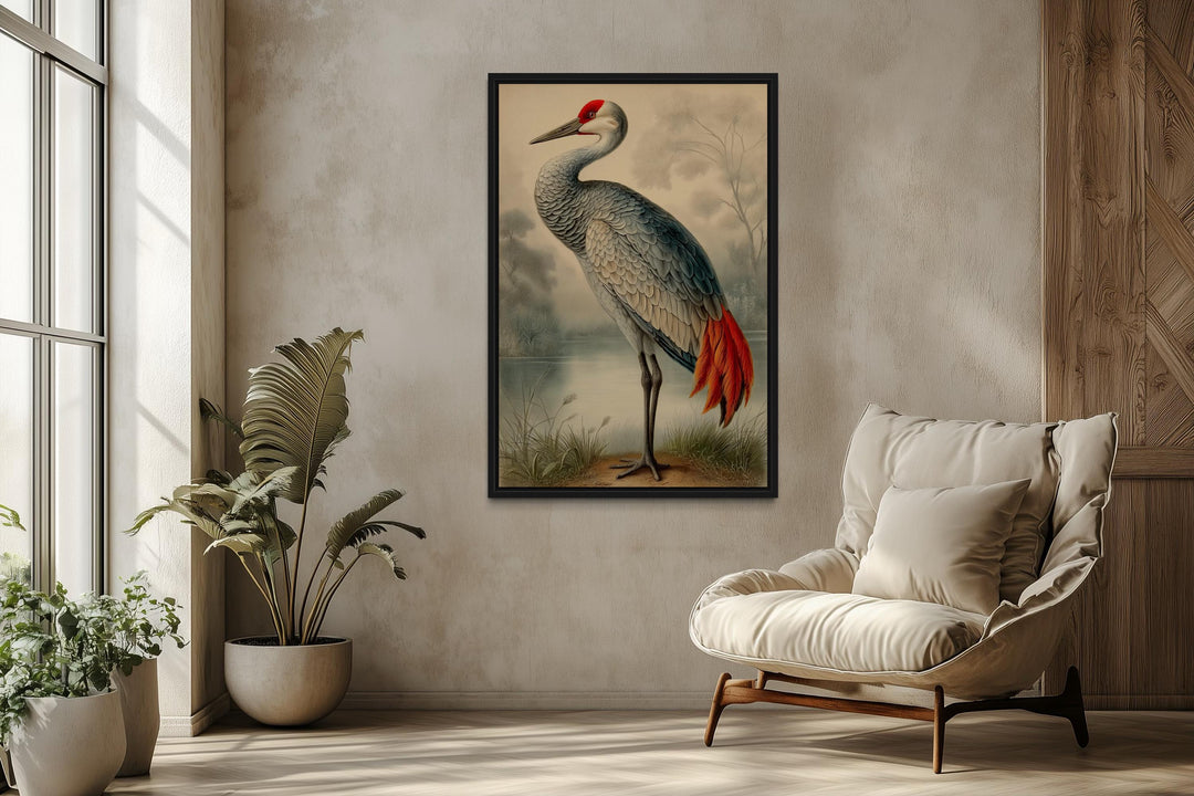 Sandhill Crane Vintage Framed Canvas Wall Art