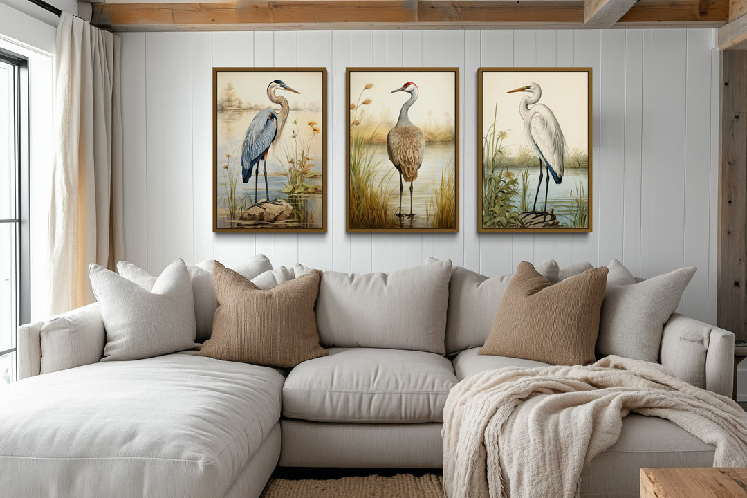 Set of 3 Coastal Birds Framed Canvas Wall Art - Blue Heron, Great Egret, Sandhill Crane