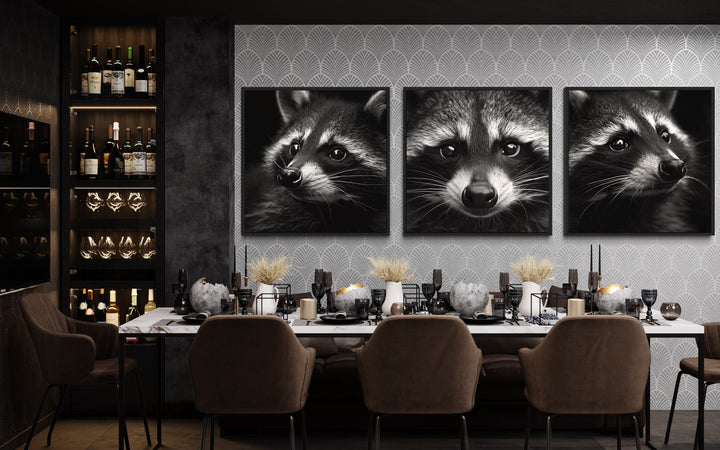 Set of 3 Raccoons Black And White Photography Style Framed Canvas Wall Art