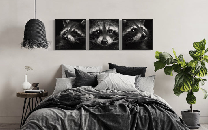 Set of 3 Raccoons Black And White Photography Style Framed Canvas Wall Art
