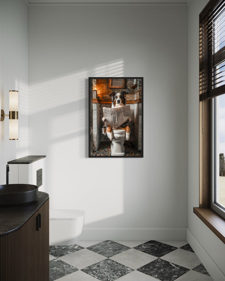 Australian Shepherd Dog On The Toilet Reading Newspaper Picture