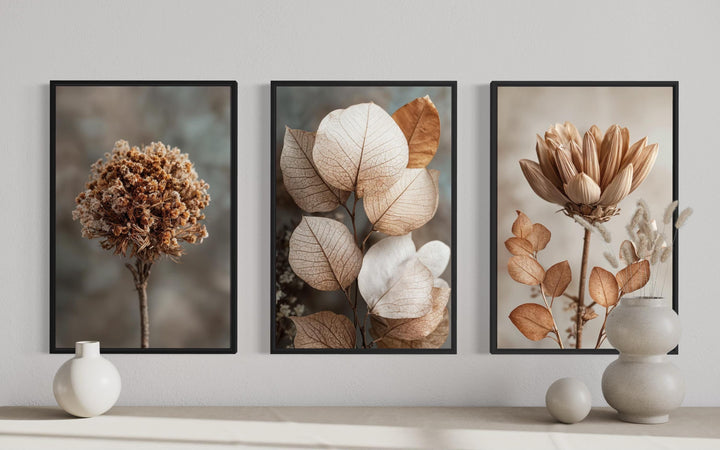 Botanical Wall Art Set of 3 – Neutral Beige and Brown Dried Flower and Plant Prints