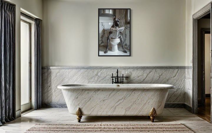 Brindle Great Dane On The Toilet Reading Newspaper Picture in a bathroom with a claw foot tub and marble walls