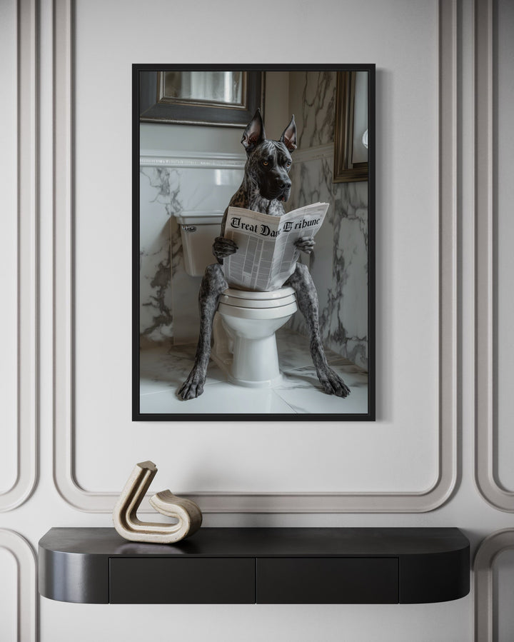 Brindle Great Dane On The Toilet Reading Newspaper Picture close up