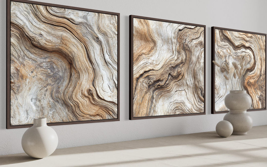Triptych of driftwood wood grain canvas wall art in a coastal farmhouse setting.