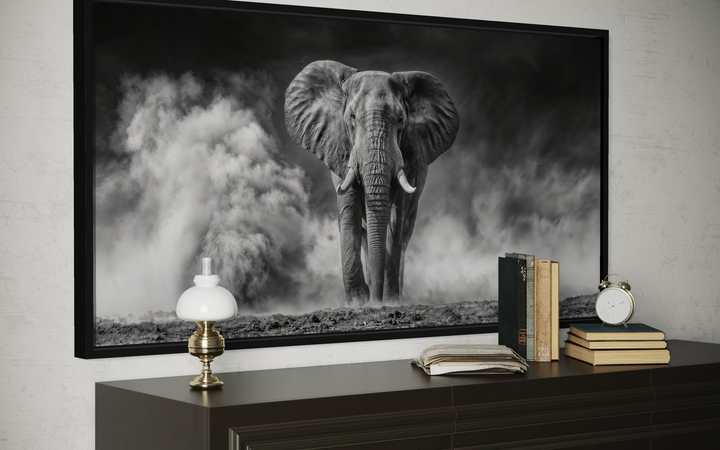 Framed black and white canvas print of an elephant in a dust cloud, styled on a dark wood dresser.