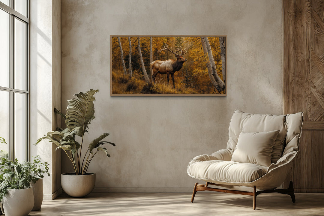 Elk in Autumn Birch Forest Framed Canvas Wall Art