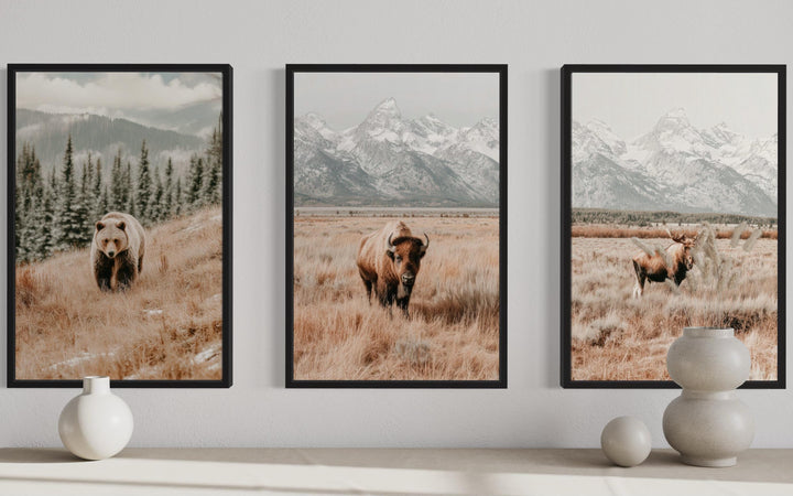Set of 3 neutral-toned wildlife prints featuring a bear, bison, and moose in Grand Teton landscapes.