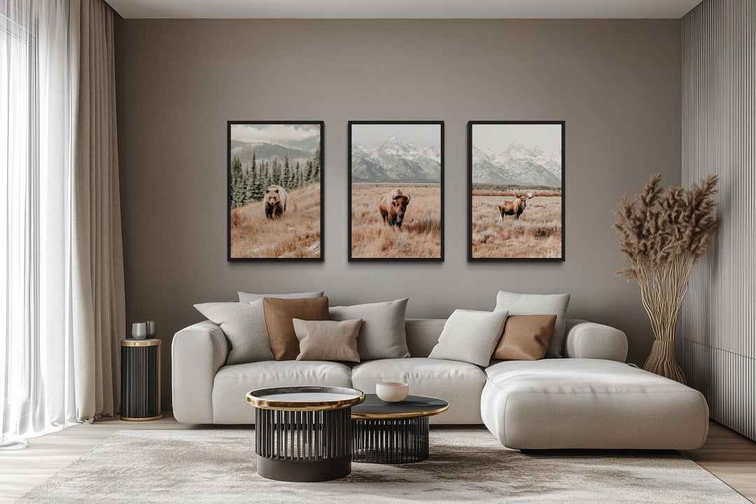 Grand Teton Wildlife Wall Art Set of 3 – Neutral Color Bear, Moose, and Bison Photography Style Prints