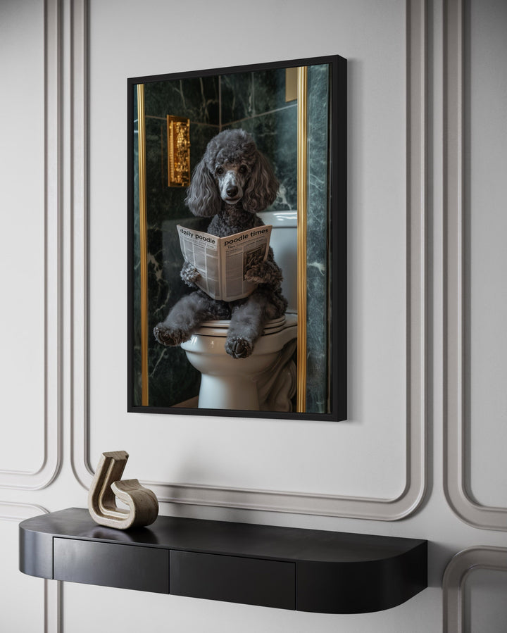 Grey Medium Poodle On Toilet Reading Newspaper Picture