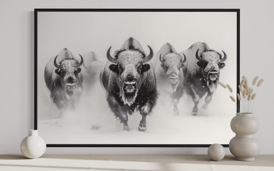 Herd Of Running Bison In Snow Black White Framed Canvas Wall Art