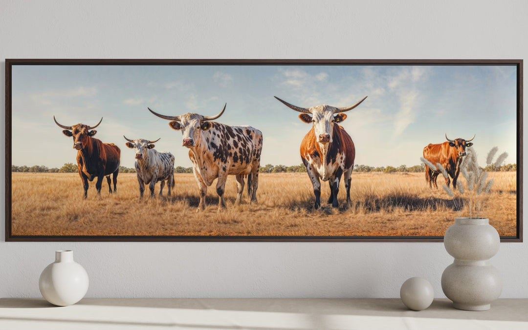 Panoramic framed canvas wall art featuring a herd of Texas Longhorn cows in a dry grassy field.