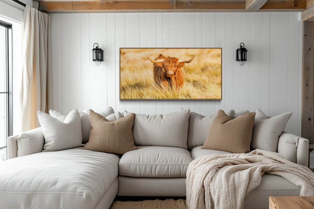 Highland Cow In Grass Field Photography Framed Canvas Wall Art