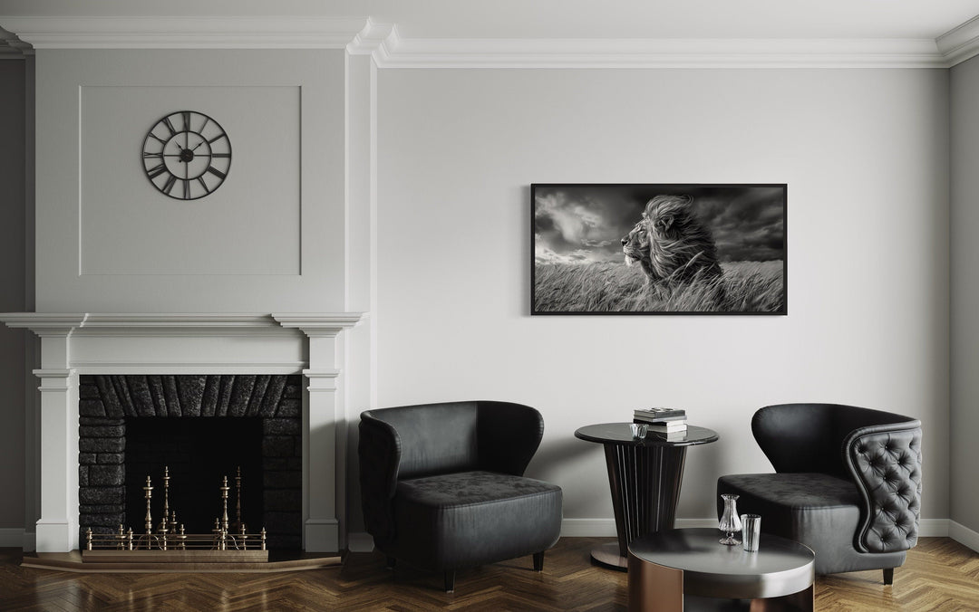 Lion in Savanna Grass Black White Photography Framed Canvas Wall Art