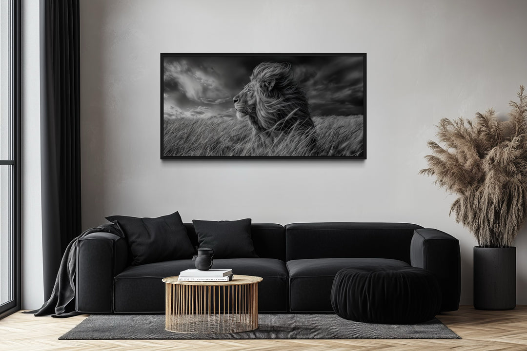 Lion in Savanna Grass Black White Photography Framed Canvas Wall Art