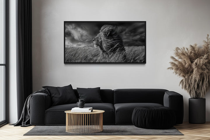 Lion in Savanna Grass Black White Photography Framed Canvas Wall Art