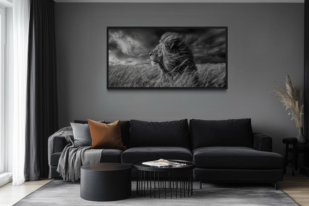 Lion in Savanna Grass Black White Photography Framed Canvas Wall Art