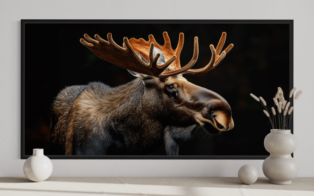 Extra large framed canvas wall art of a moose with large antlers against a black background.
