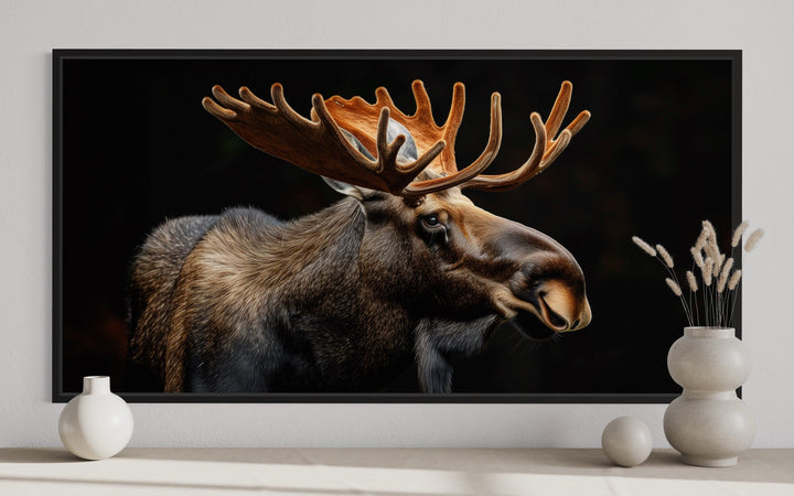 Extra large framed canvas wall art of a moose with large antlers against a black background.