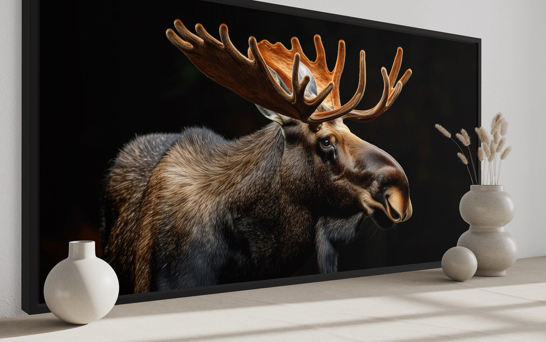 Extra large framed canvas wall art of a majestic moose with antlers against a black background.