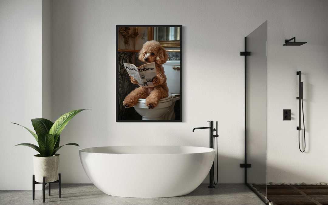 Peach Poodle On Toilet Reading Newspaper Picture