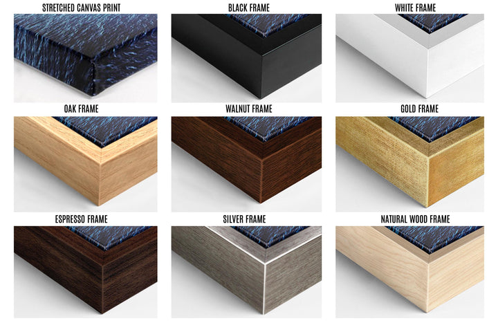 Grid showing nine framing options: stretched canvas, black, white, oak, walnut, gold, and more.