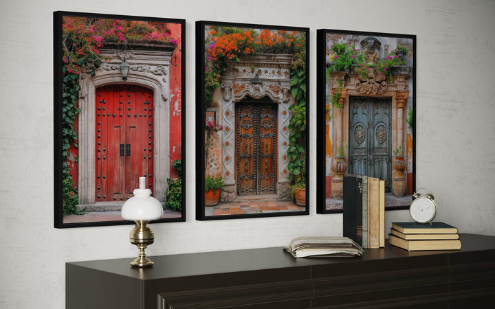 Set Of Three Mexican Doors Framed Canvas Wall Art
