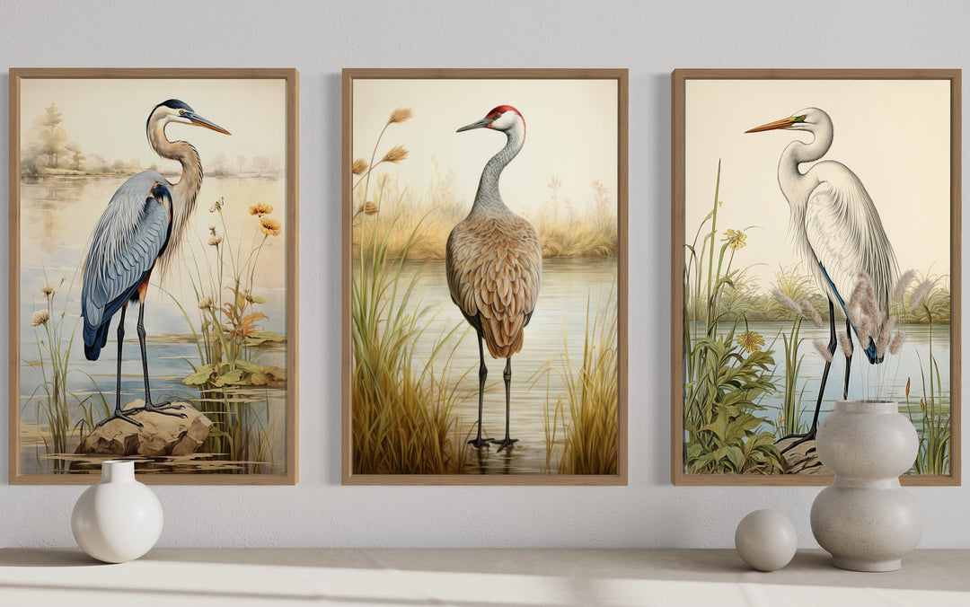 Set of 3 framed canvas prints featuring a Blue Heron, Sandhill Crane, and Great Egret in a marsh.
