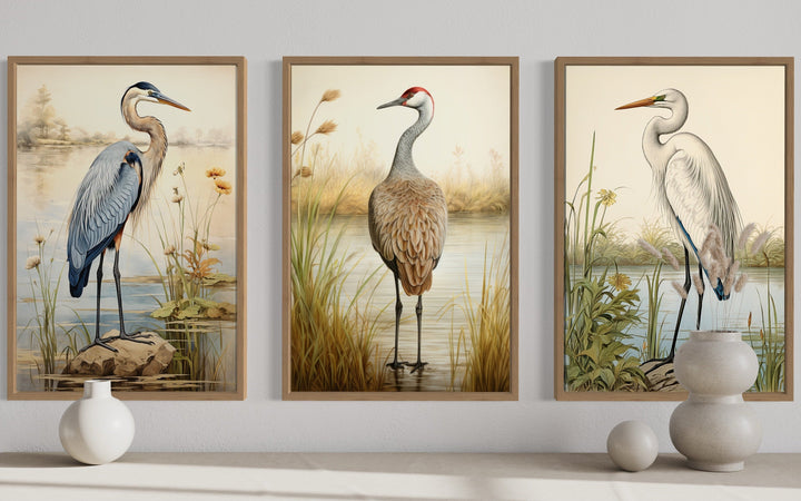 Set of 3 framed canvas prints featuring a Blue Heron, Sandhill Crane, and Great Egret in a marsh.