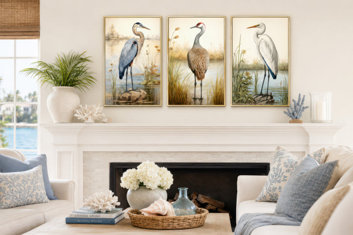 Set of 3 framed canvas wall art featuring a Blue Heron, Sandhill Crane, and Great Egret.