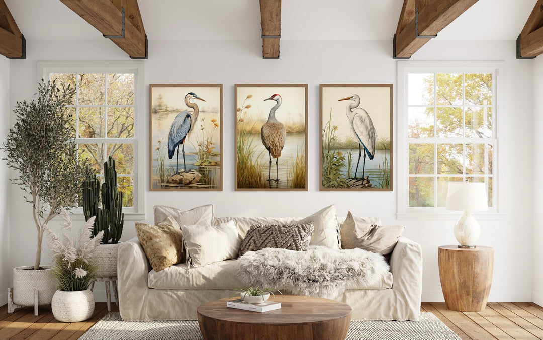 Set of 3 framed bird canvas prints featuring a Blue Heron, Sandhill Crane, and Great Egret.