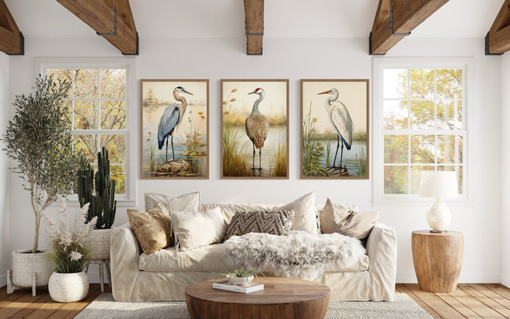 Set of 3 framed bird canvas prints featuring a Blue Heron, Sandhill Crane, and Great Egret.