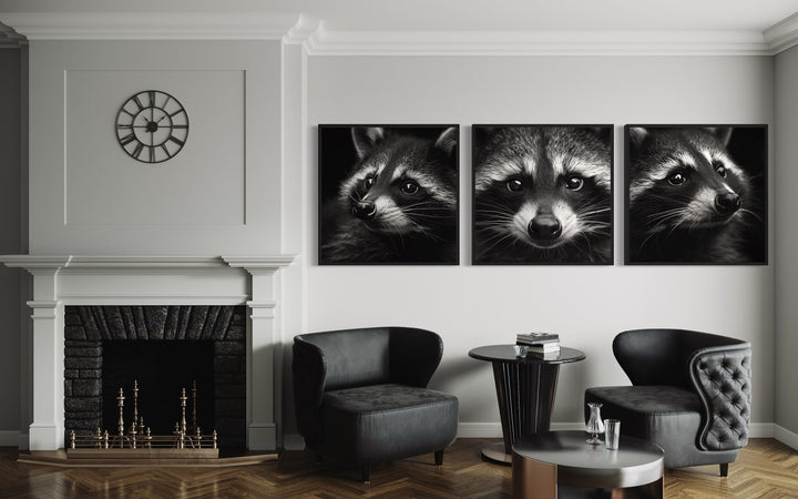 Set of 3 Raccoons Black And White Photography Style Framed Canvas Wall Art