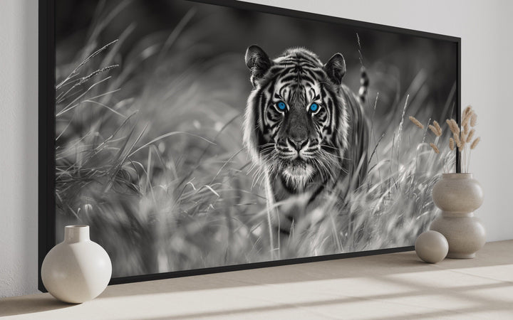 Tiger With Blue Eyes Black White Photography Framed Canvas Wall Art