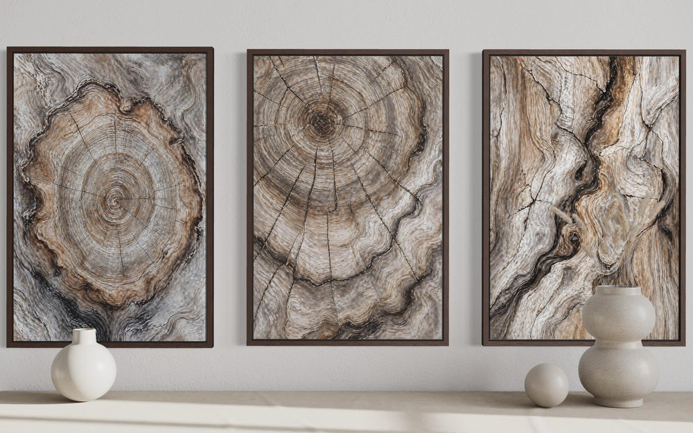 Tree Rings Wood Grain Set of 3 Canvas Wall Art featuring organic concentric patterns in earthy tones.