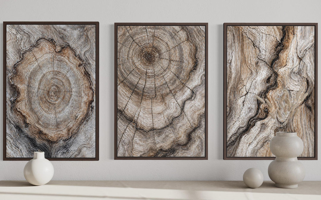 Tree Rings Wood Grain Set of 3 Canvas Wall Art featuring organic concentric patterns in earthy tones.
