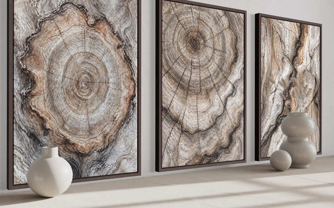 Tree Rings Wood Grain Set of 3 Canvas Wall Art featuring concentric growth ring patterns.