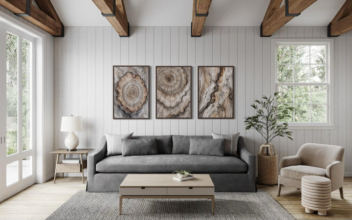A triptych of three vertical canvas prints featuring detailed tree ring wood grain patterns.