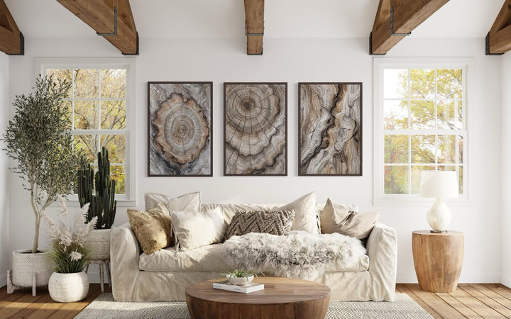 Tree Rings Wood Grain Set of 3 Canvas Wall Art displayed above a neutral sofa in a rustic room.