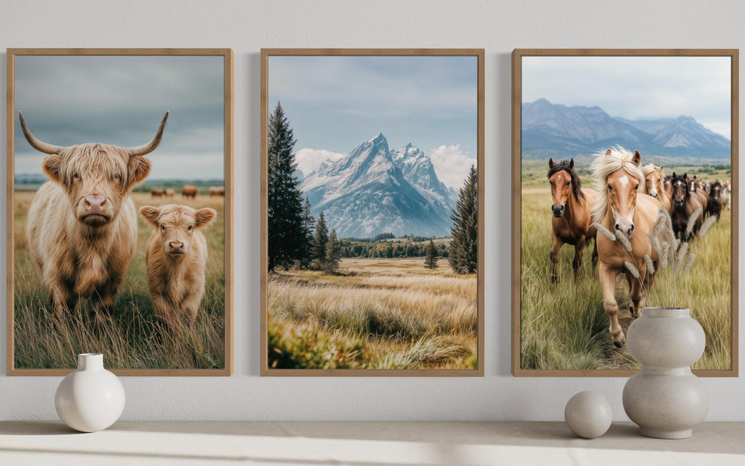 Set of 3 framed prints featuring a Highland cow and calf, Grand Teton mountains, and wild horses.