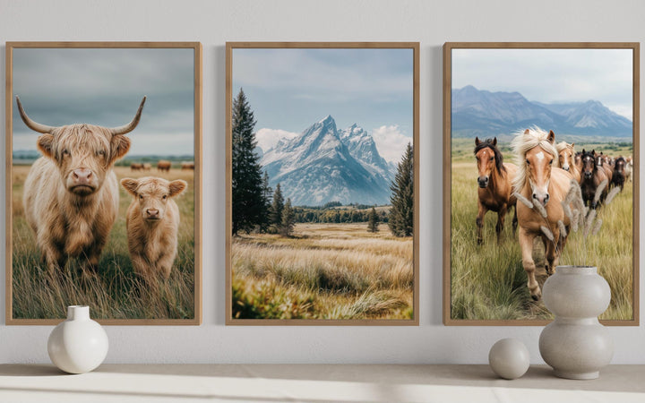Set of 3 framed prints featuring a Highland cow and calf, Grand Teton mountains, and wild horses.