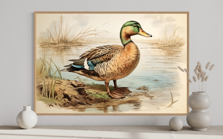 Mallard Duck Vintage Rustic Framed Canvas Wall Art close up