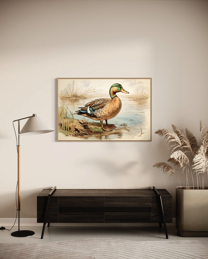 Mallard Duck Vintage Rustic Framed Canvas Wall Art