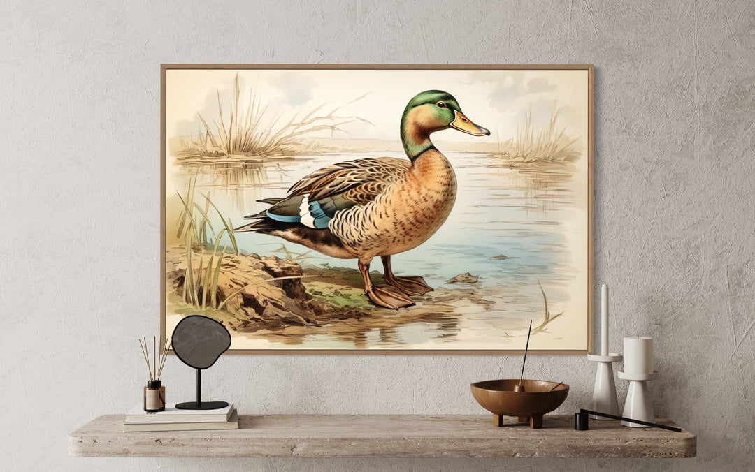 Mallard Duck Vintage Rustic Framed Canvas Wall Art close up