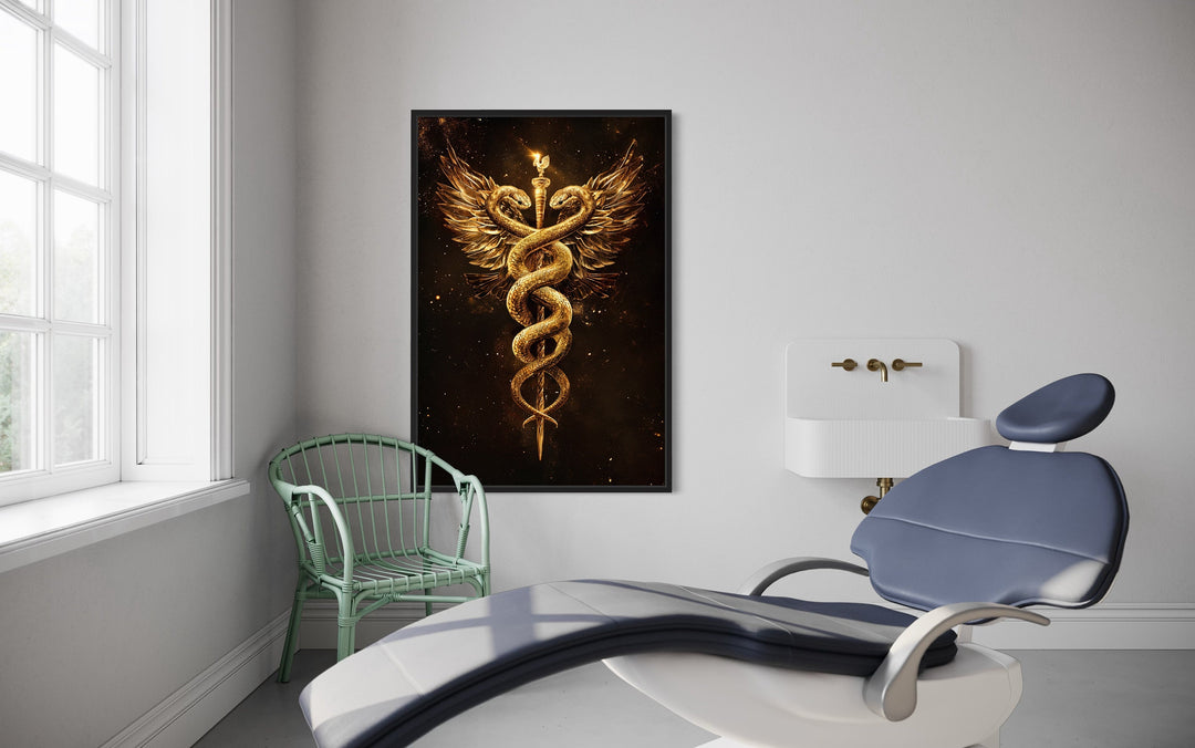 Gold Black Caduceus Framed Canvas Wall Art in medical cabinet