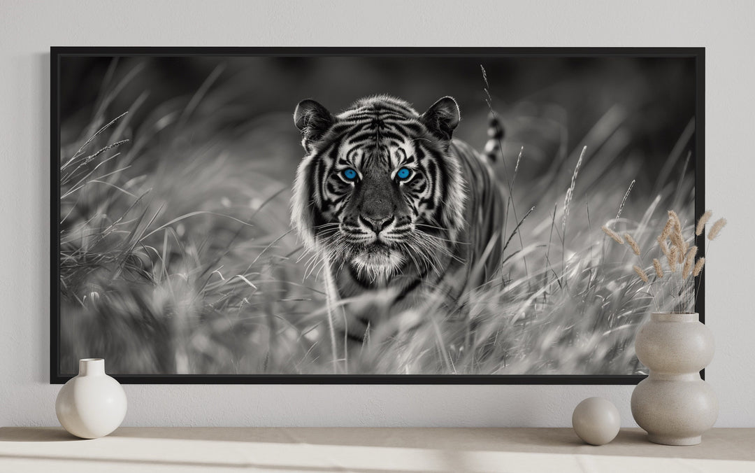 Tiger With Blue Eyes Black White Photography Framed Canvas Wall Art close up