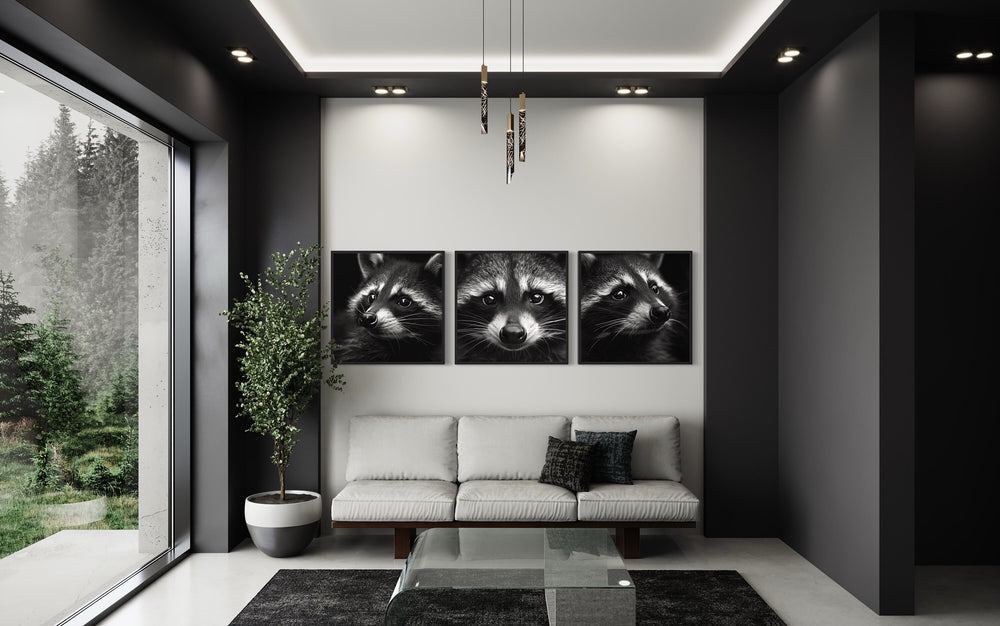 Set of 3 Raccoons Black And White Photography Style Framed Canvas Wall Art above white couch